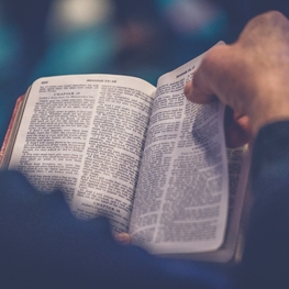 WHAT WE BELIEVE